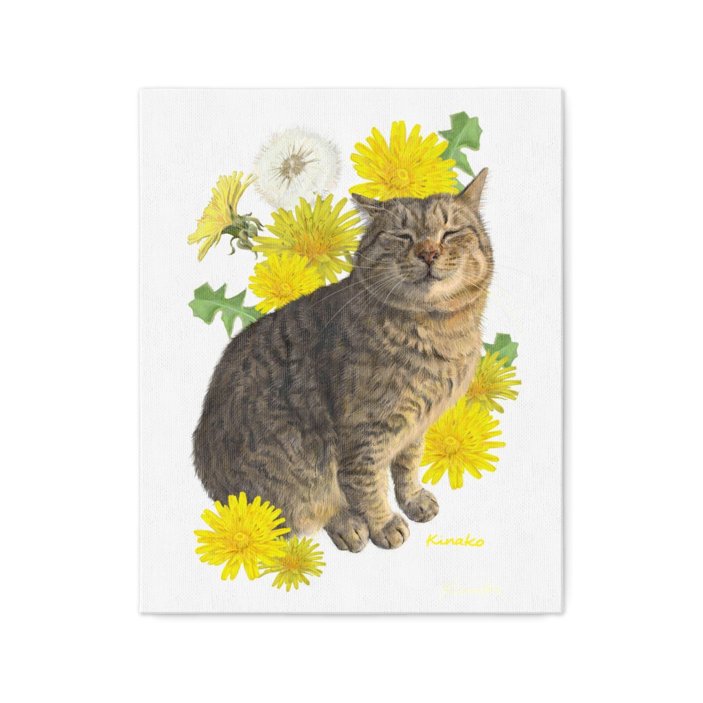 河原の野良猫　ムー