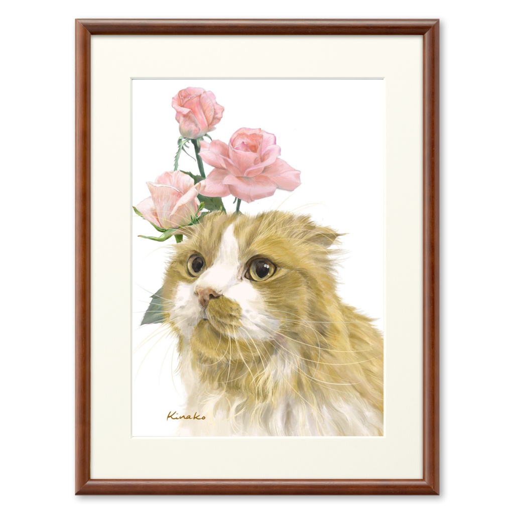 マンチカン　ののさん