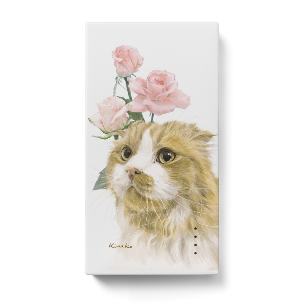 マンチカン　ののさん