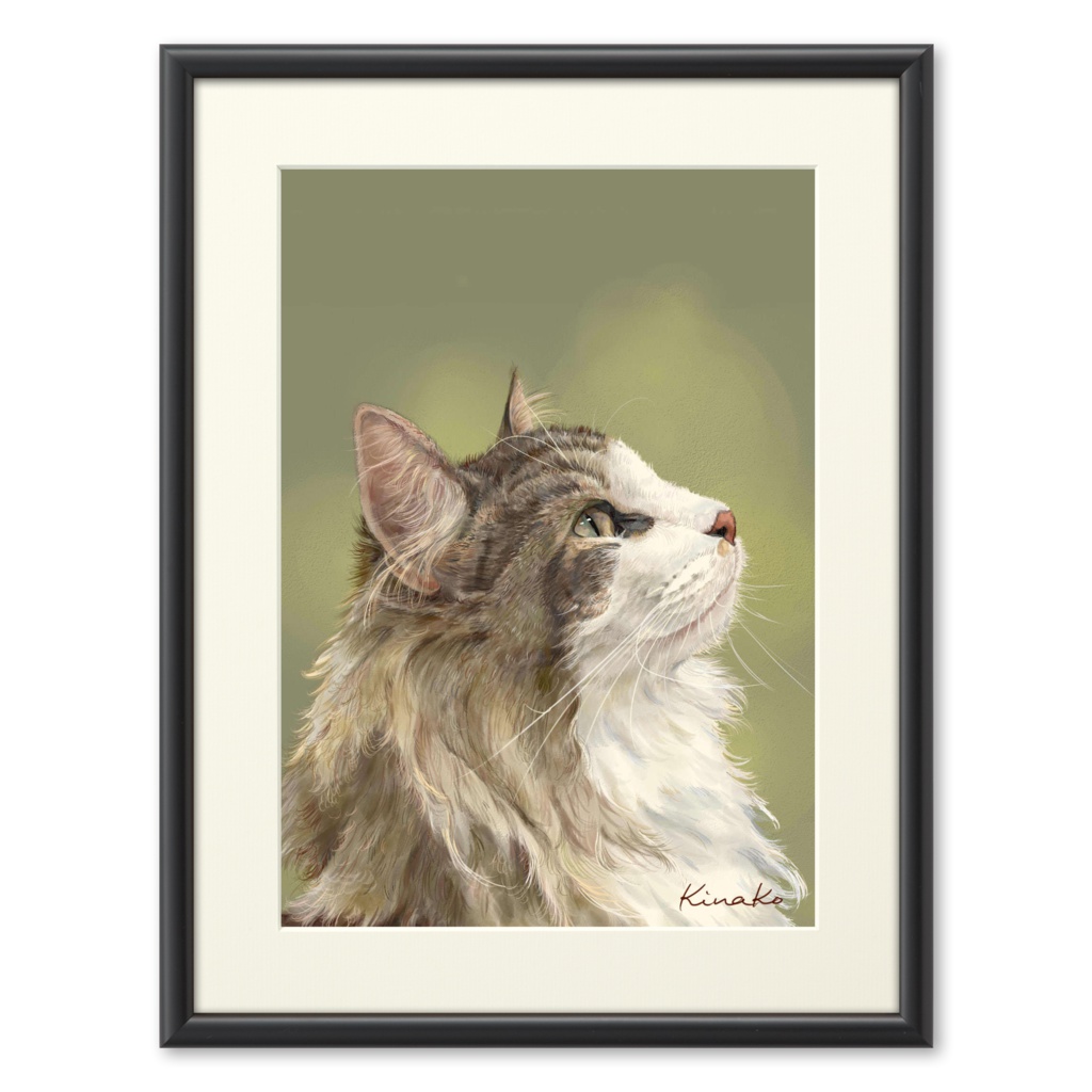 Carreくん　ブラックフレーム