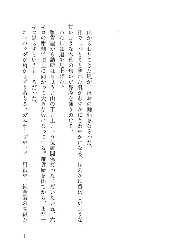 【落丁対応分】長編『幻日の肖像(ユゴ相)』