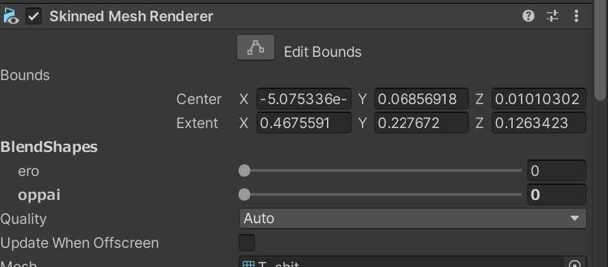 【舞夜用衣装】ちょっとえっちなシャツ Shirt