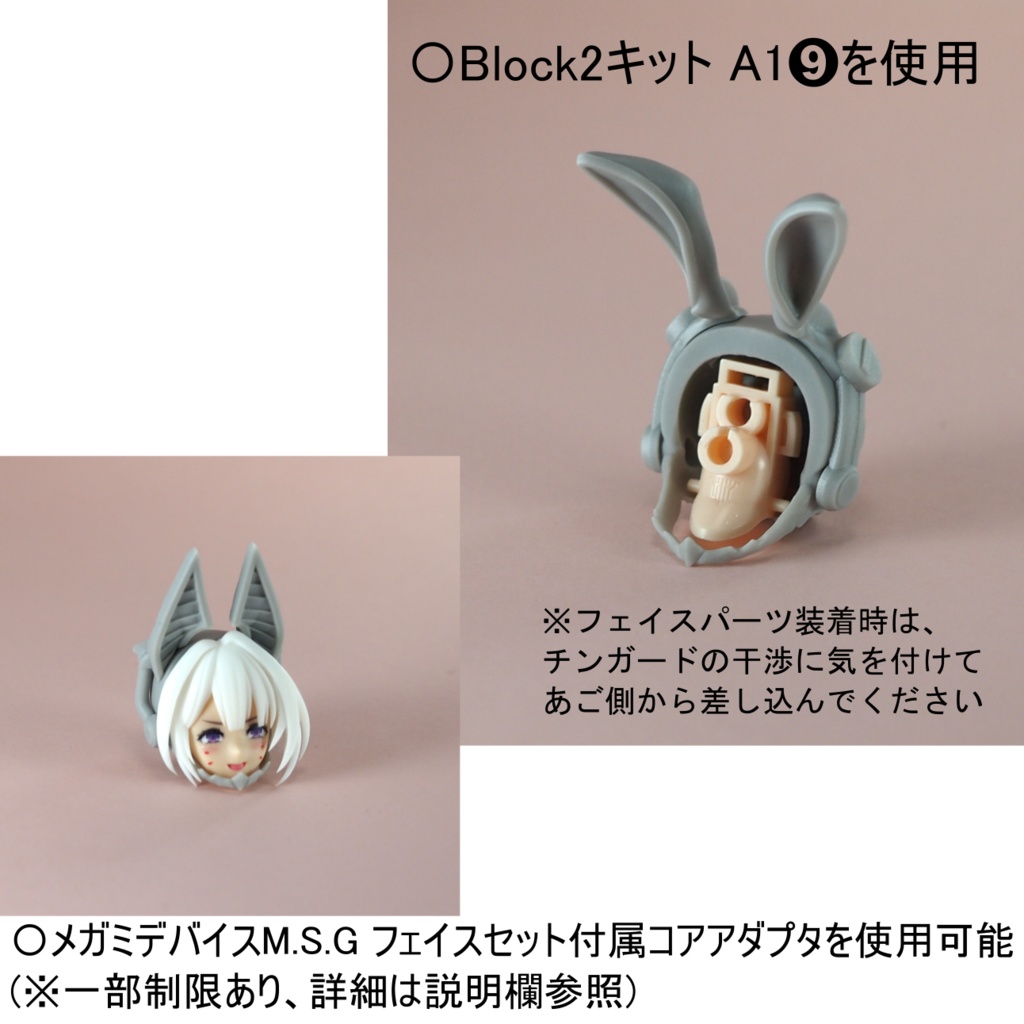 PlumGear:01 "AGITO" 【Block2シリーズ対応】