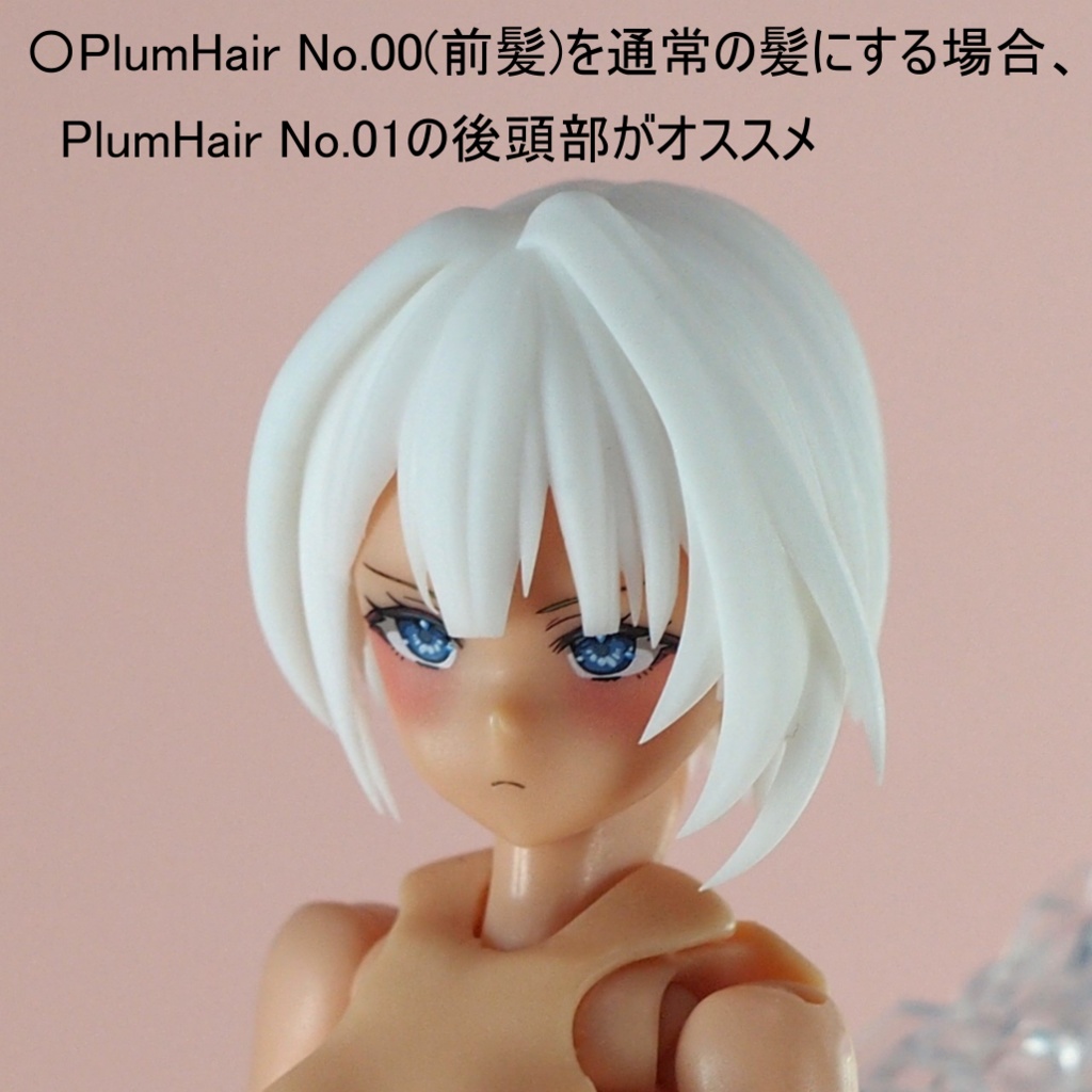 PlumGear:01 "AGITO" 【Block2シリーズ対応】