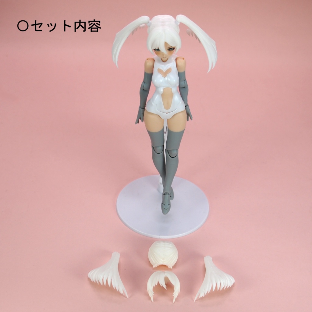 PlumHair EX-01 【Block2、B1Rシリーズ対応】