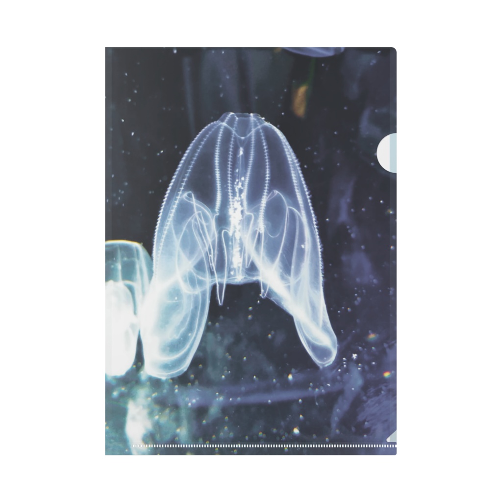 クラゲとカメのクリアファイル