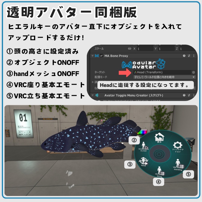 【MA対応】インドネシア・シーラカンス/ラティメリア・メナドエンシス/Indonesian Coelacanth/인도네시아 실라칸스/印度尼西亚腔棘鱼【VRChat対応】