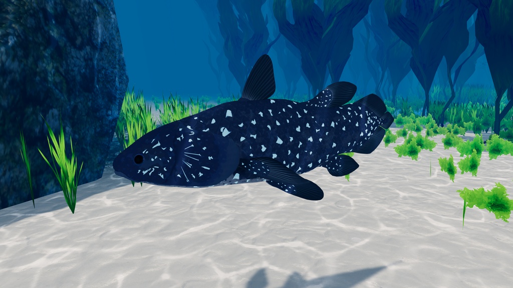 【MA対応】インドネシア・シーラカンス/ラティメリア・メナドエンシス/Indonesian Coelacanth/인도네시아 실라칸스/印度尼西亚腔棘鱼【VRChat対応】