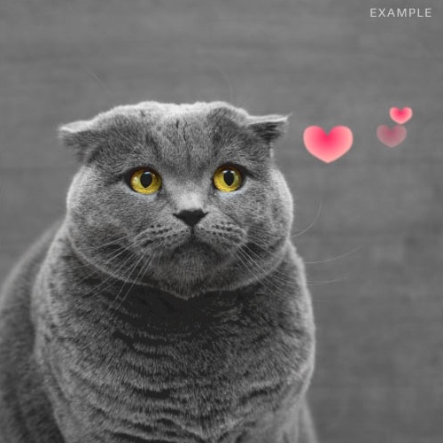 【無料】うごく漫画効果をダウンロード