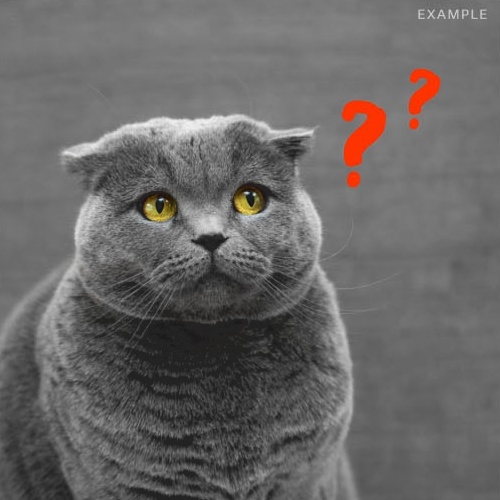 【無料】うごく漫画効果をダウンロード