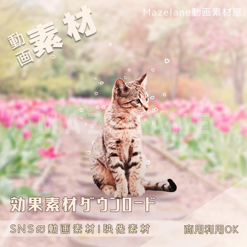 【動画素材】ハートの粒子効果をダウンロード