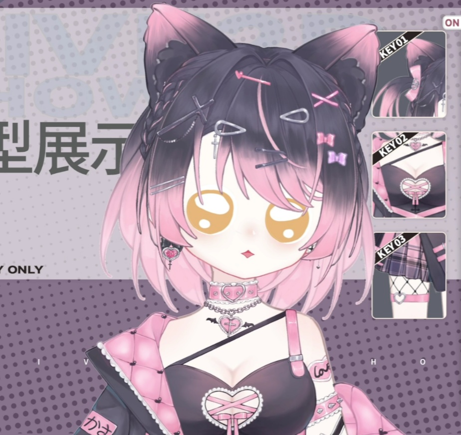 「live2dモデル」ミス地雷