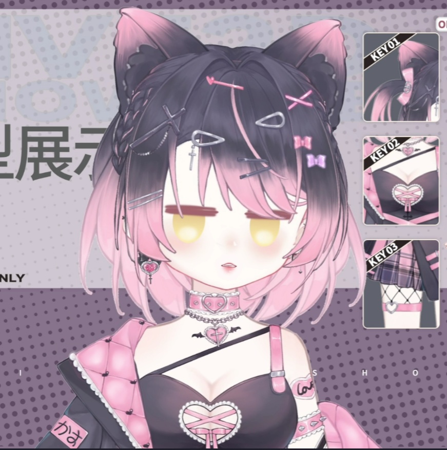 「live2dモデル」ミス地雷