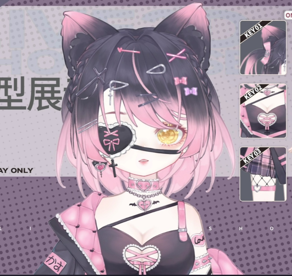 「live2dモデル」ミス地雷