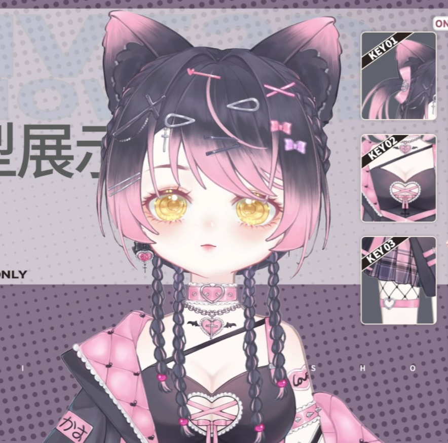 「live2dモデル」ミス地雷