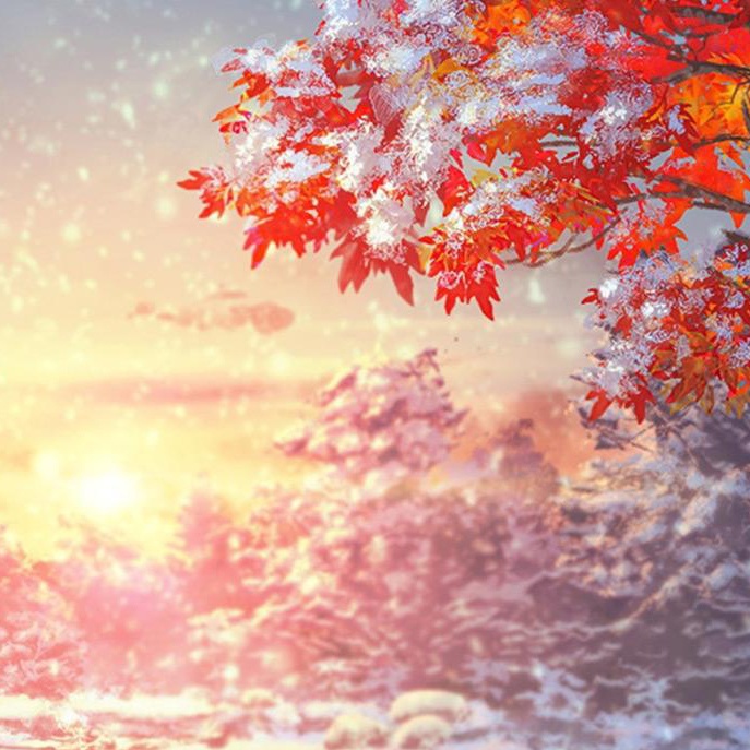 [非売品] 宅急便60サイズ