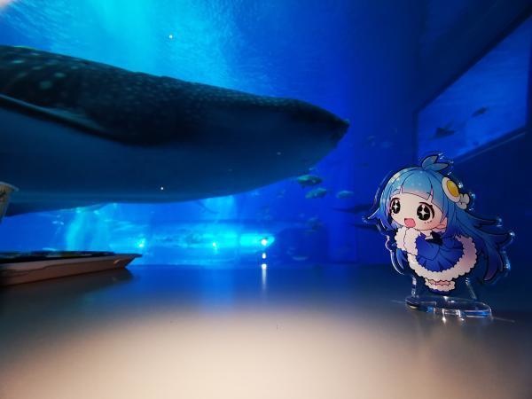 きらきらくららちゃんアクリルスタンド