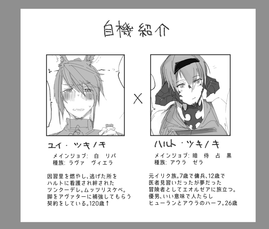 FF14 自機CPログ本