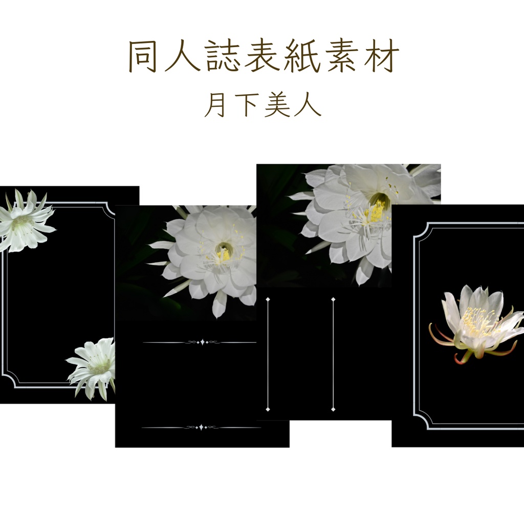 【印刷可】表紙素材20　月下美人