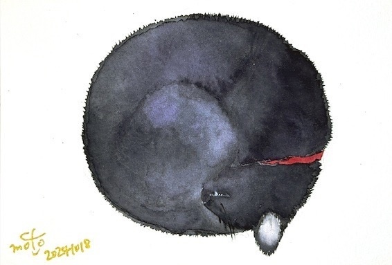 ふくだのお得な福袋・クロちゃんセット