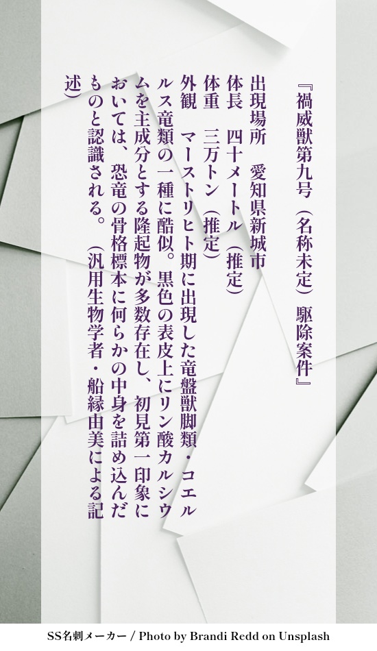 美中の美-The Fairest of the Fair-