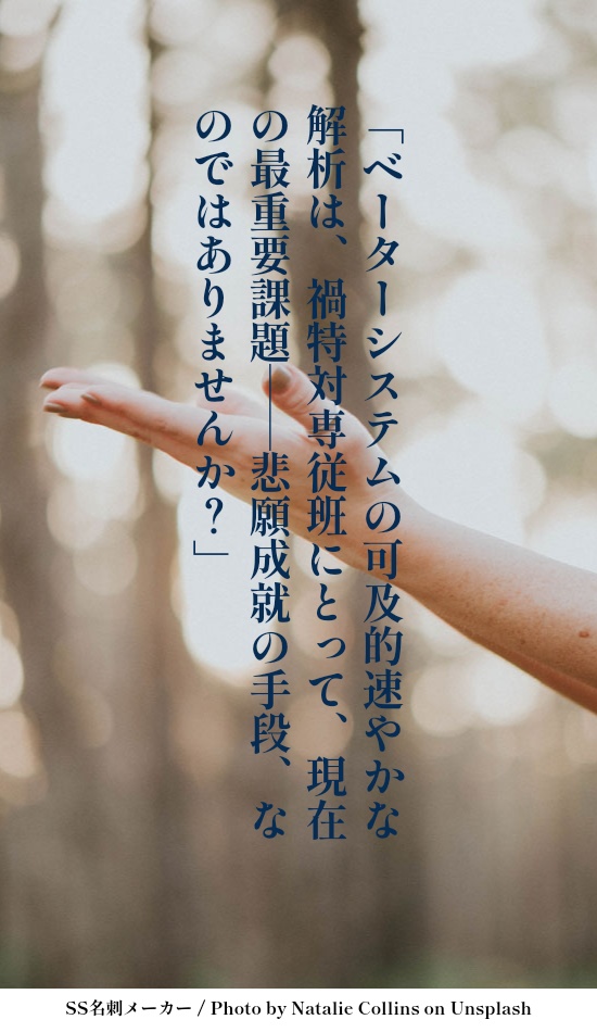 美中の美-The Fairest of the Fair-