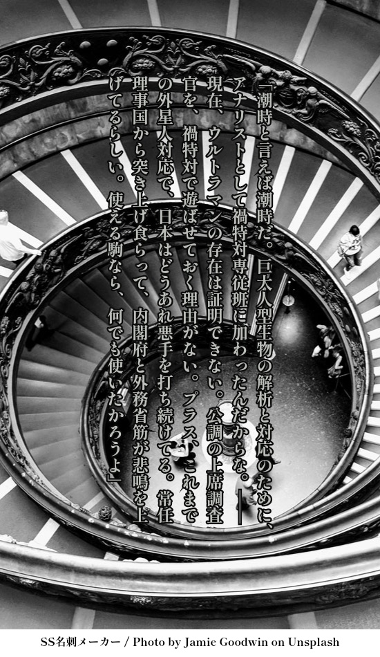 美中の美-The Fairest of the Fair-