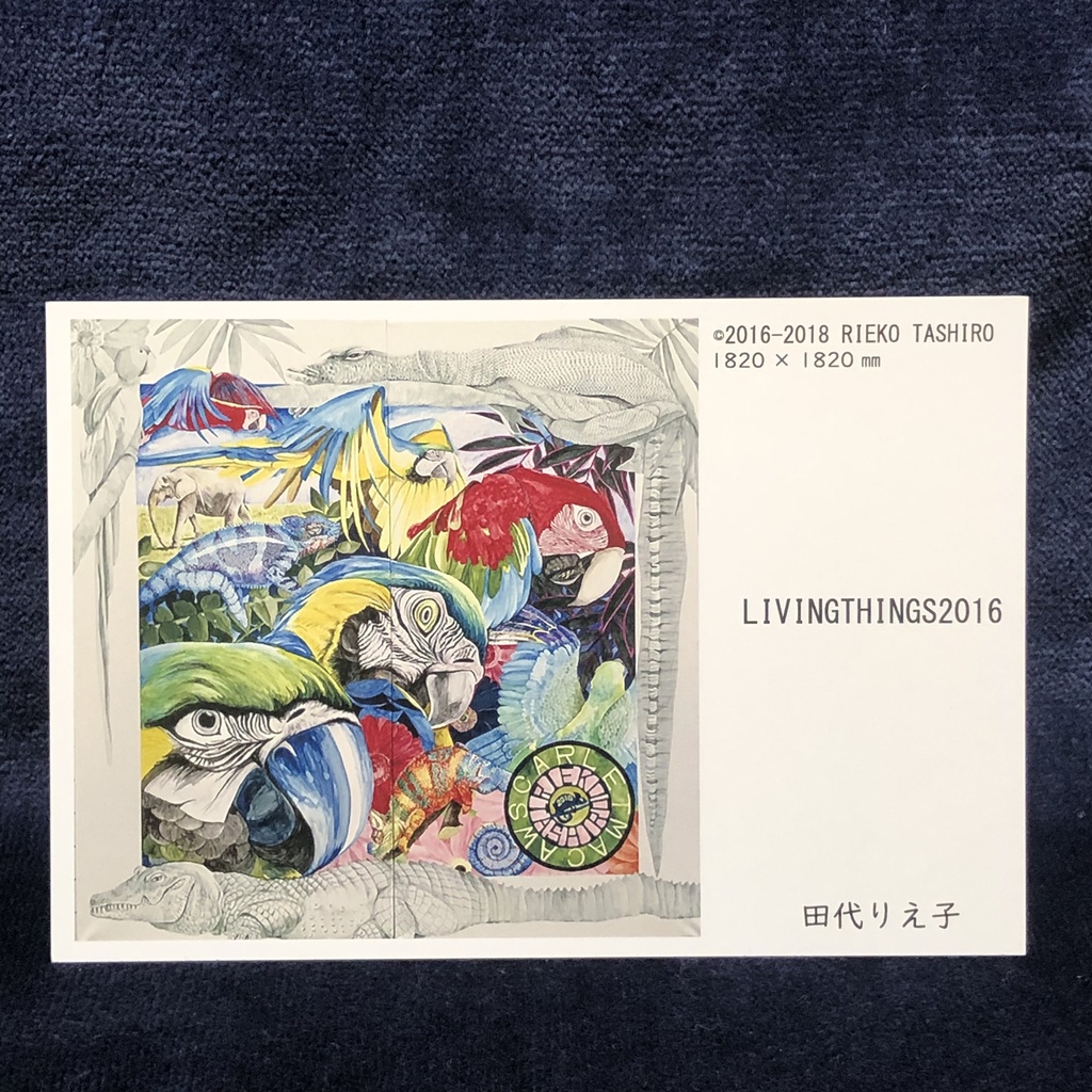 ポストカード8種類