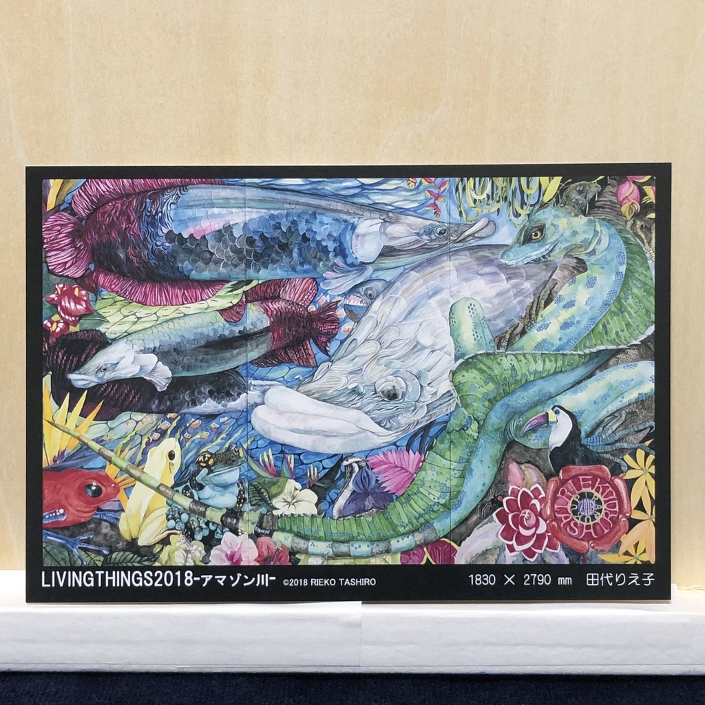 ポストカード8種類