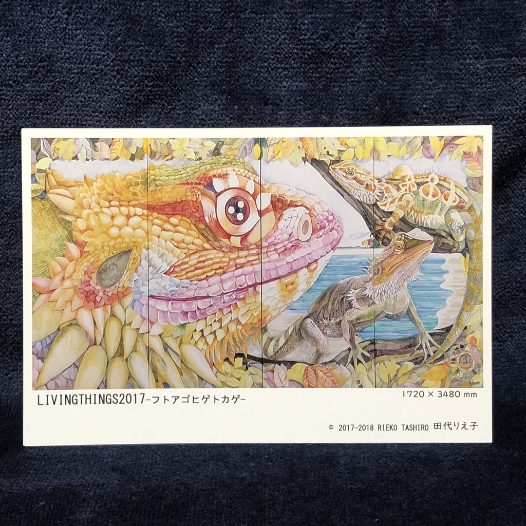 ポストカード8種類