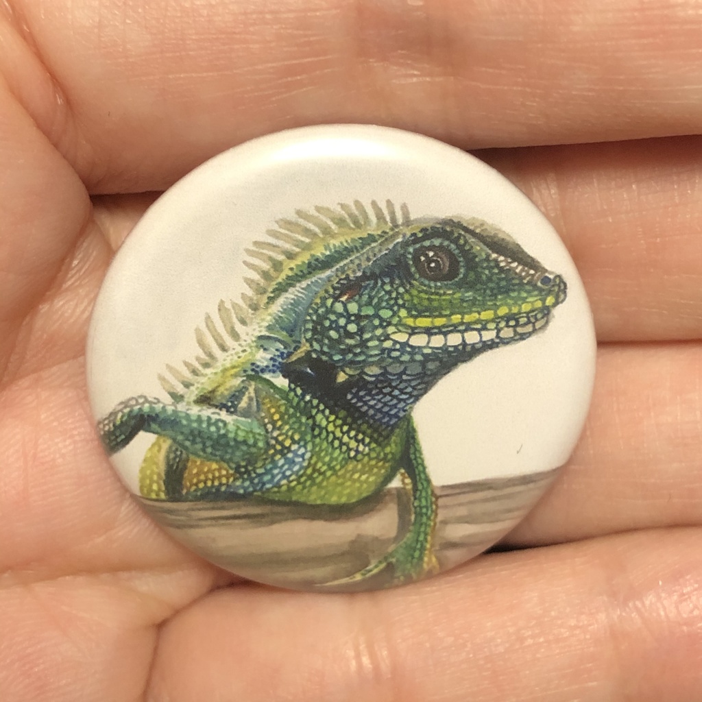 小さい缶バッジ5種類