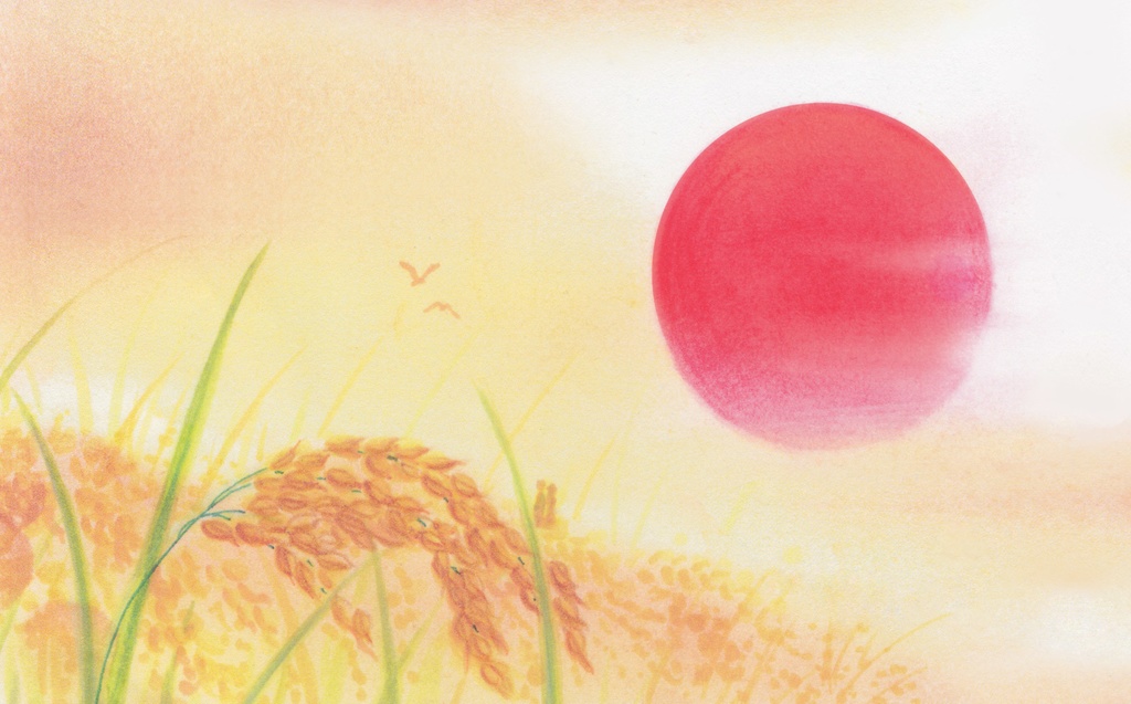 夕日と稲穂の背景(サイズ容量小)Sunset and Ears of Rice Background" (small)