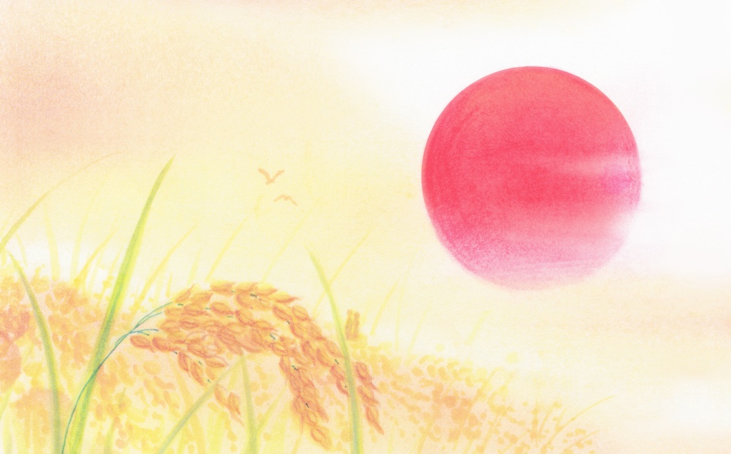 夕日と稲穂の背景(サイズ容量大)Sunset and ears of rice background" ( large)