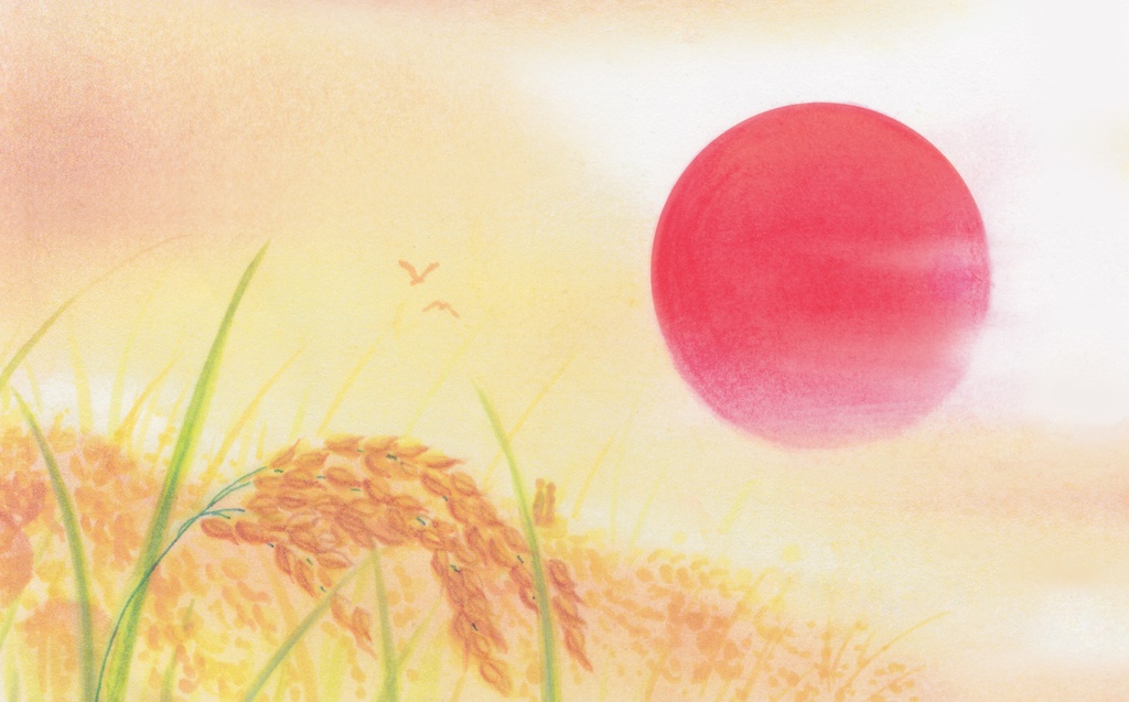 夕日と稲穂の背景(サイズ容量大)Sunset and ears of rice background" ( large)