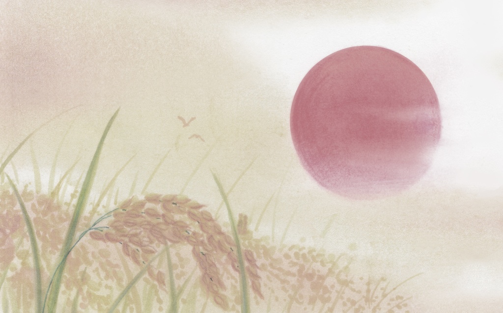 夕日と稲穂の背景(サイズ容量大)Sunset and ears of rice background" ( large)