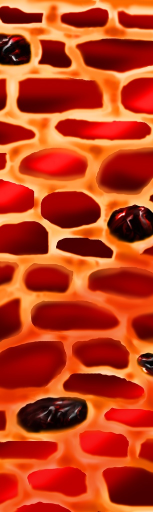 ちょこレンガブロック(レーズン入り)Choko brick block with raisins