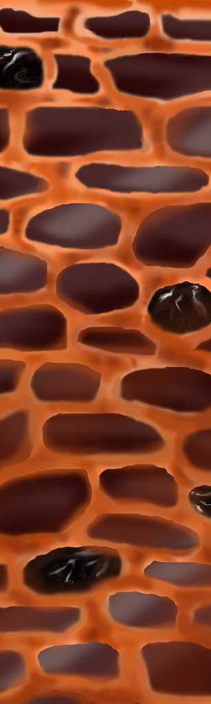 ちょこレンガブロック(レーズン入り)Choko brick block with raisins