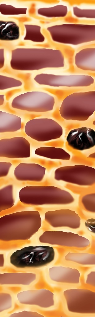 ちょこレンガブロック(レーズン入り)Choko brick block with raisins