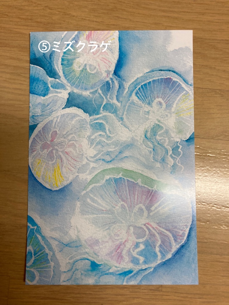 ポストカード5種