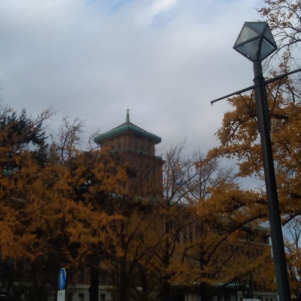 横浜3塔物語写真集＠県庁×税関×開港記念会館
