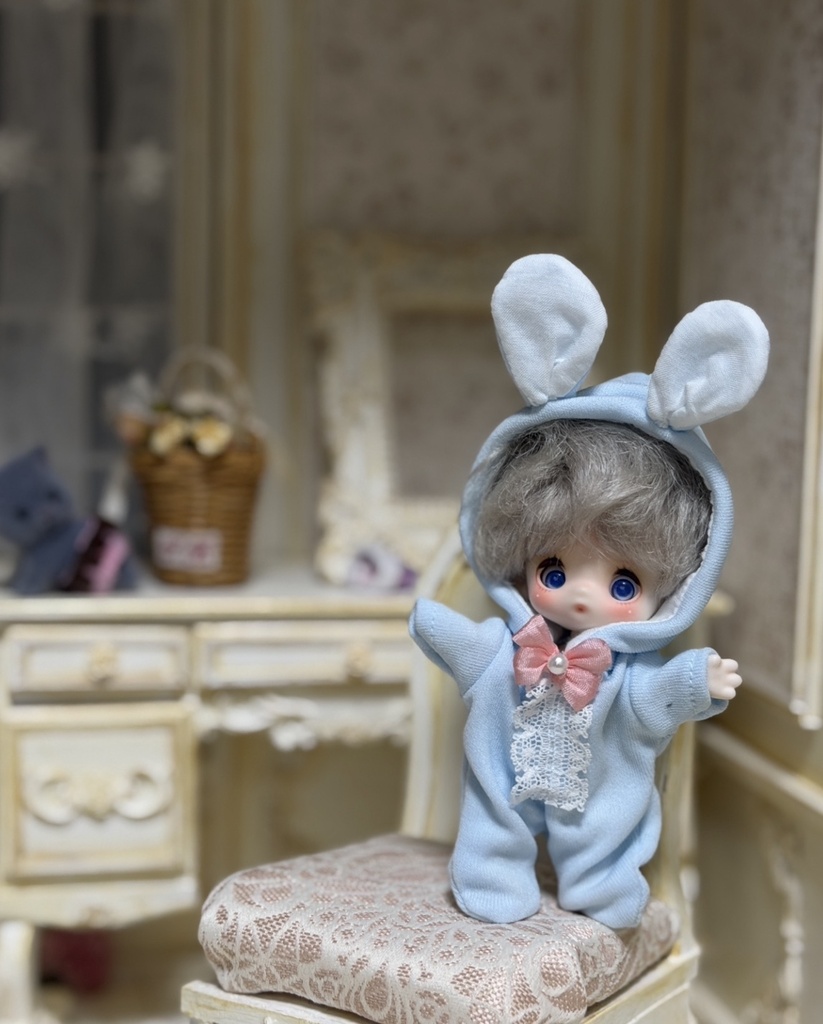 lapin（ラパン）セイロンちゃん用