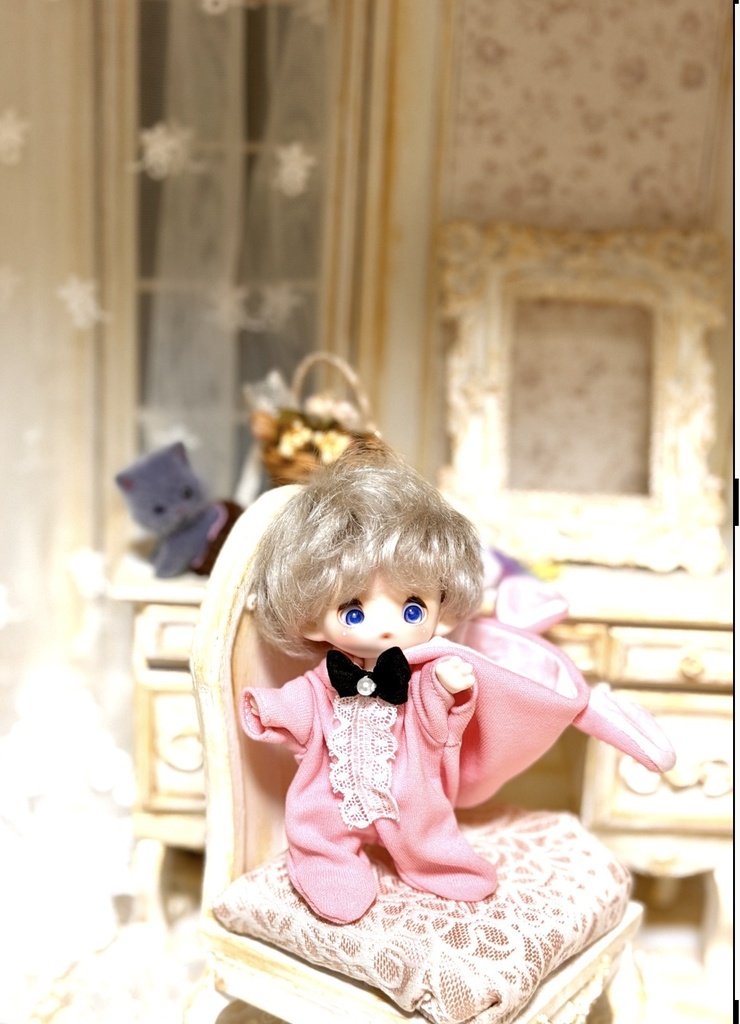 lapin（ラパン）セイロンちゃん用