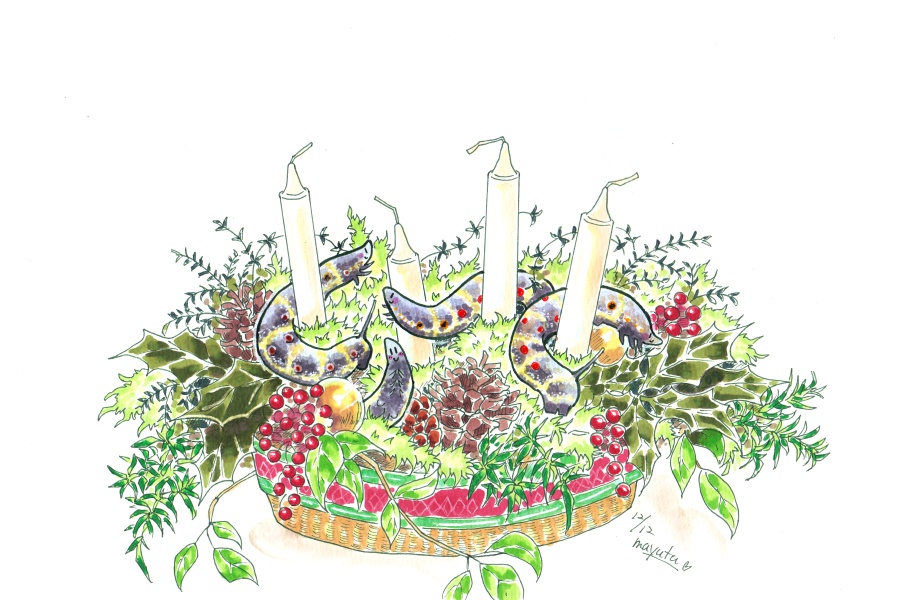 セスジスズメクリスマストートバッグ Sサイズ