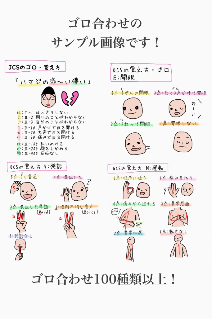 ナチュラ 看護師 Ns Nrs USB発送 語呂合わせ ゴロ合わせ 500以上 国家