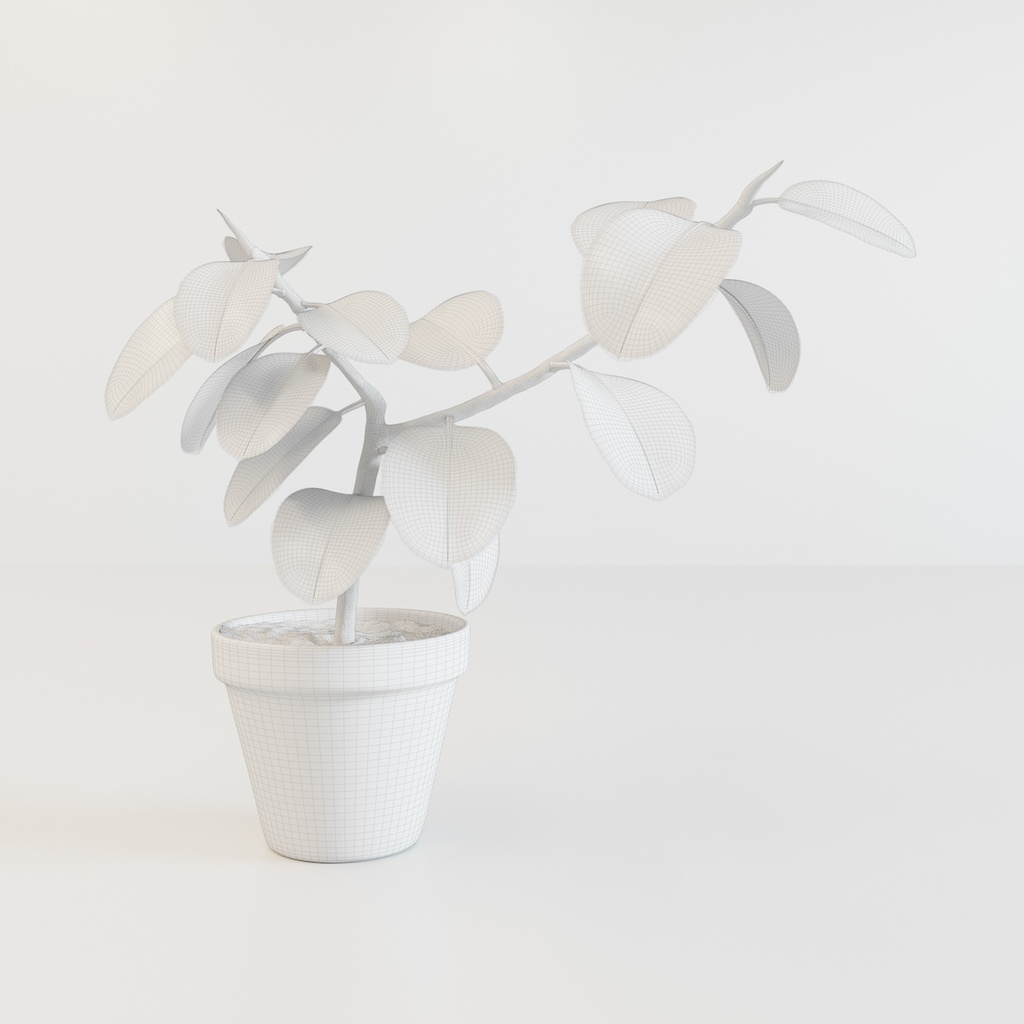 フィカス(インドゴムノキ)【観葉植物3Dモデル】