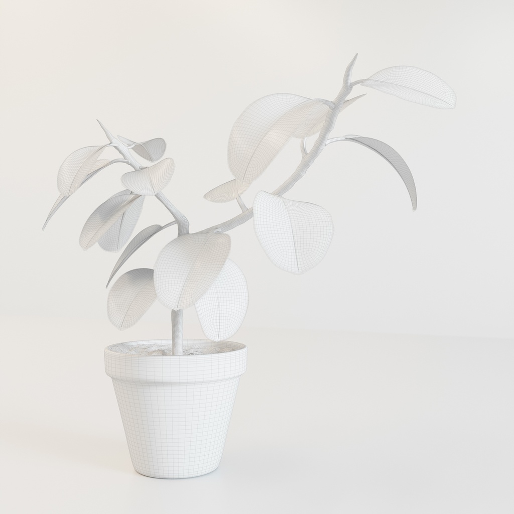 フィカス(インドゴムノキ)【観葉植物3Dモデル】