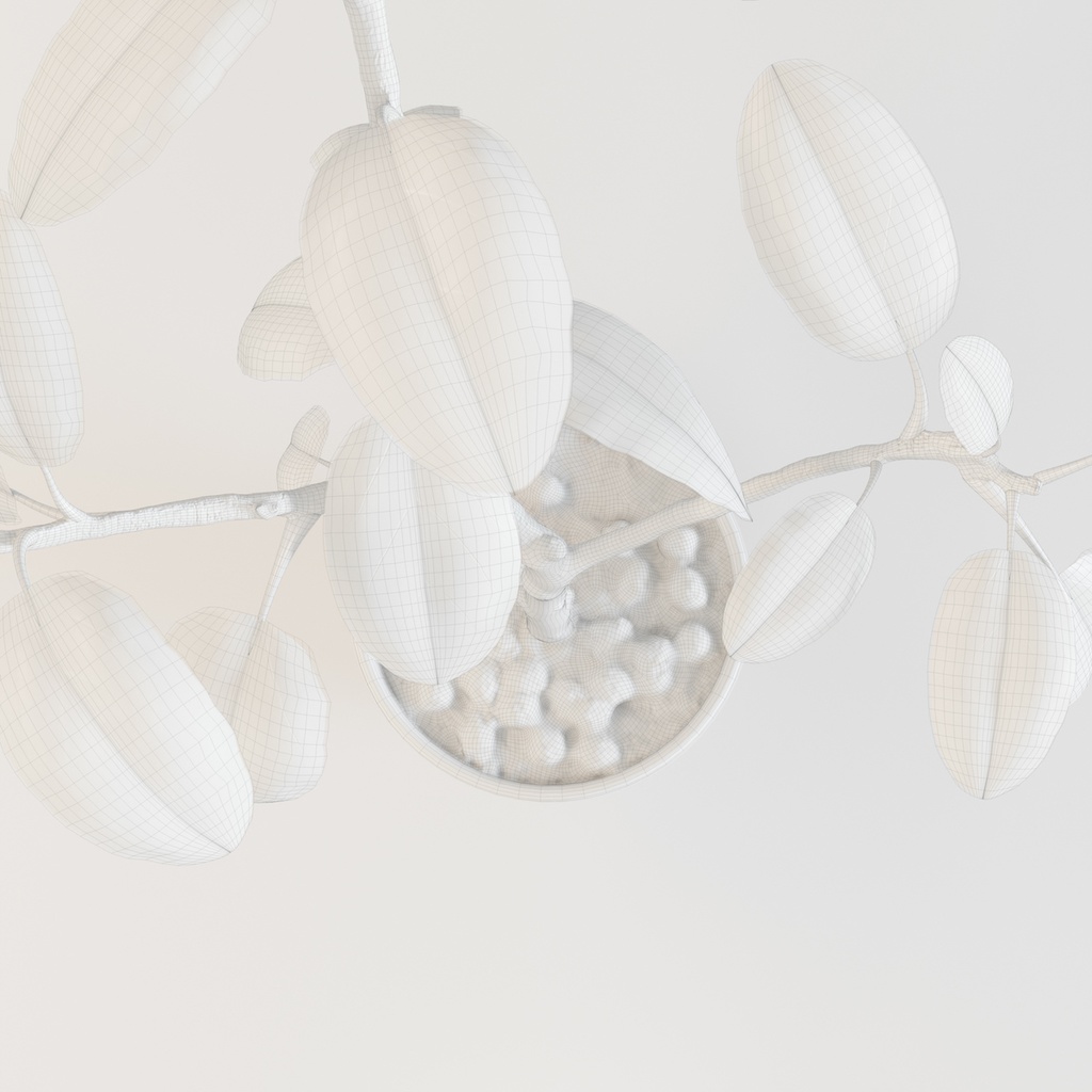 フィカス・アルテシマ(インドゴムノキ) 【観葉植物3Dモデル】