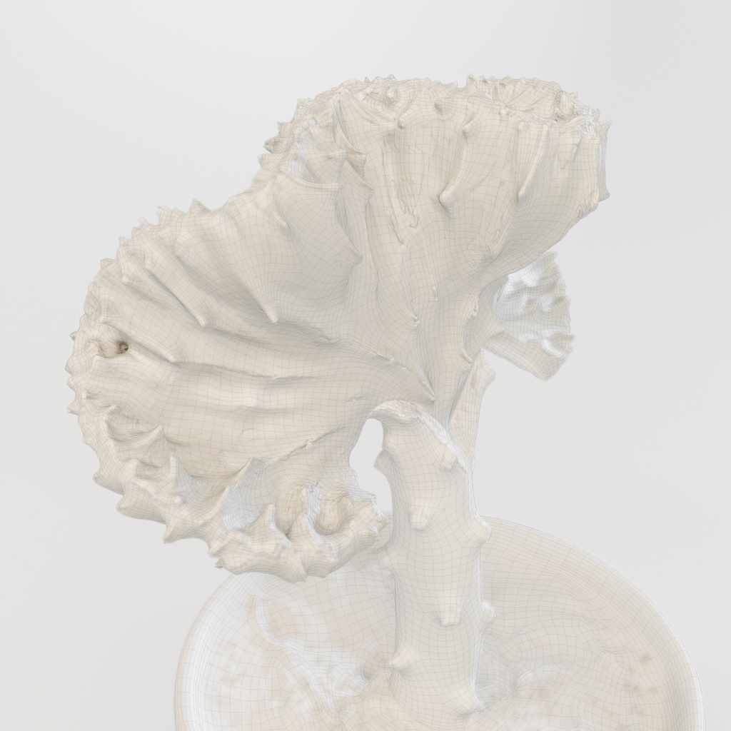 マハラジャ 【観葉植物3Dモデル】