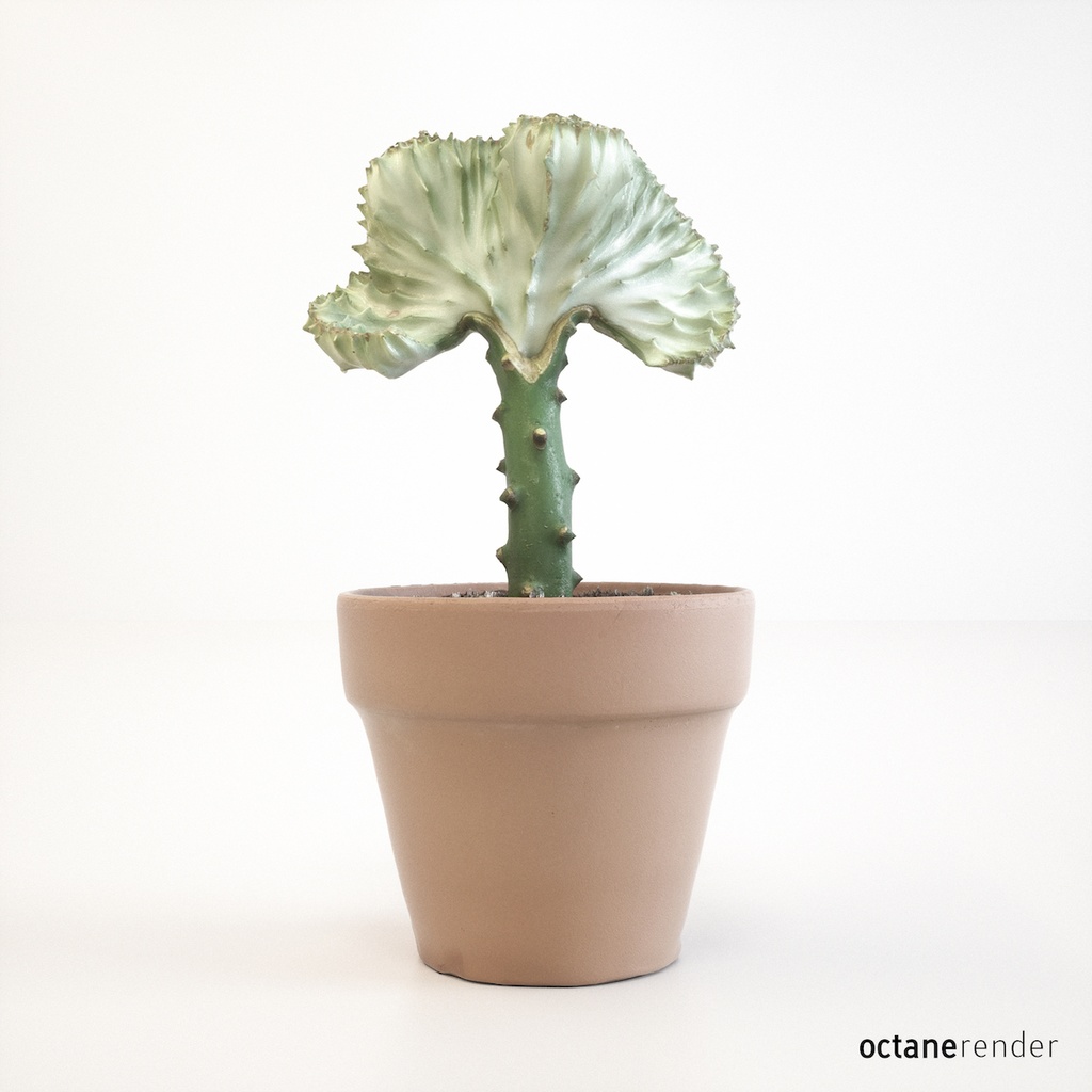 マハラジャ 【観葉植物3Dモデル】