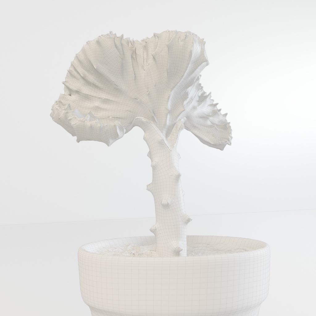 マハラジャ 【観葉植物3Dモデル】